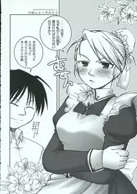 (C69) [Osaru-san Panic (Kikuno)] Chronic Love (Fullmetal Alchemist)