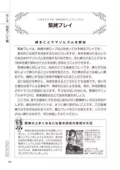 いますぐデキる 図説SMプレイマニュアル