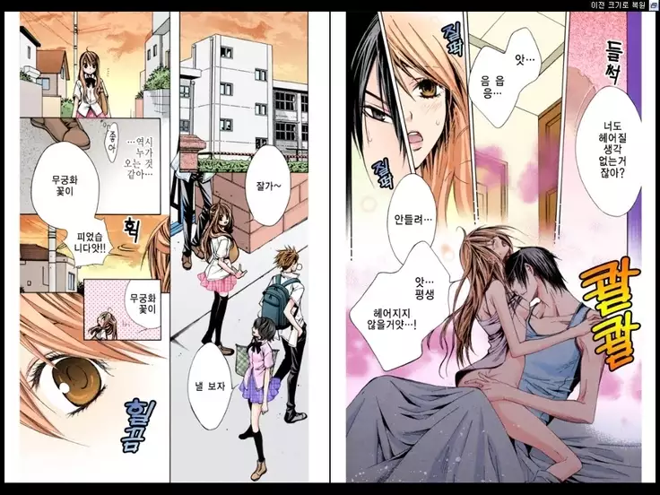 Naisho no Love Mariage | 비밀의 결혼