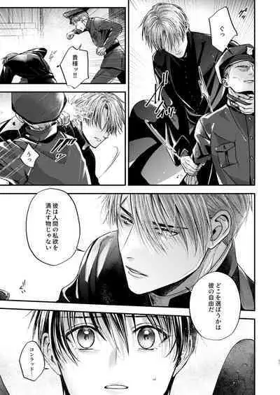 Night under the midnight sun ✜ Ⅱ