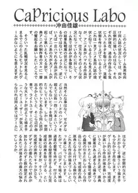 Denei Tamate Bako Bishoujo Doujinshi Anthology Vol. 2 - Nishinhou no Tenshi (The Last Blade, Princess Crown, Darkstalkers, Rockman Dash)