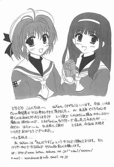 JEWEL BOX PINK SHOCK