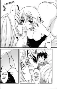 (C78) [CHAGASHI SAIBAN (Yamabuki Mook)] Koneko de Issho (IS <Infinite Stratos>) [English] [kibitou4life]