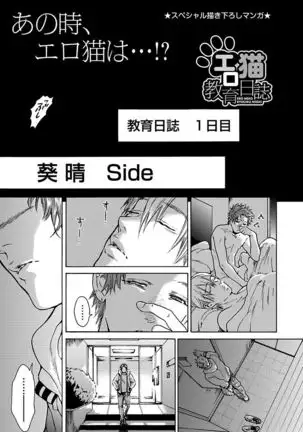 Ero Neko Kyouiku Nisshi