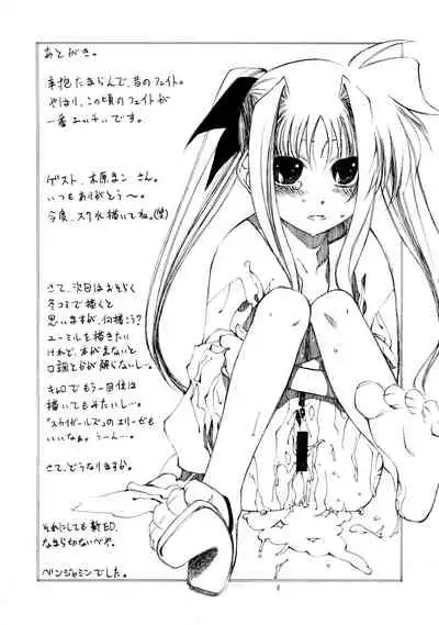 (C72) [Credit (Benjamin)] Mahou Shoujo Lyrical Nanoha Adult Stage 03 (Magical Girl Lyrical Nanoha)