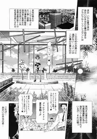 COMIC Megastore 2005-06