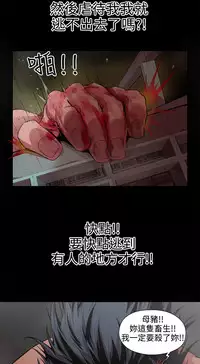 捕猎母猪 [中国翻訳]