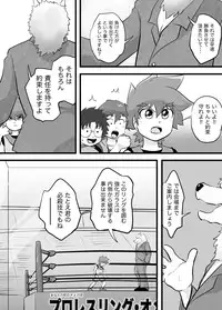 [Yoshitakashi Athletic (Yasaka)] STAR PHOENIX & GRYPHON: THE STAR HEROES