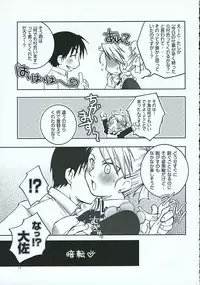 (C69) [Osaru-san Panic (Kikuno)] Chronic Love (Fullmetal Alchemist)