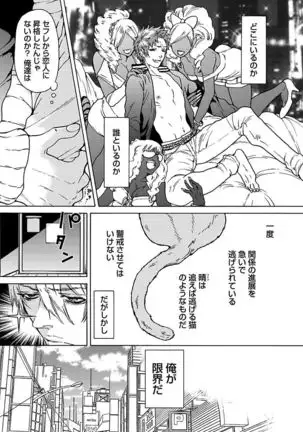 Ero Neko Kyouiku Nisshi