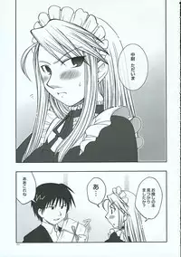 (C69) [Osaru-san Panic (Kikuno)] Chronic Love (Fullmetal Alchemist)