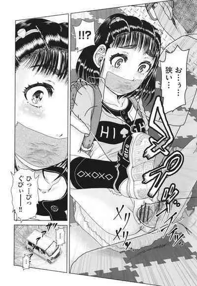 Hannin-tachi no Ryakushu Jikenbo