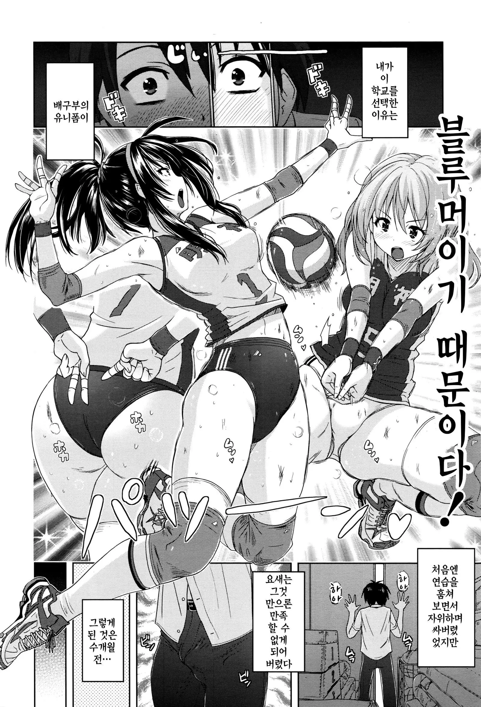 Bare Bloomers | 배구 블루머