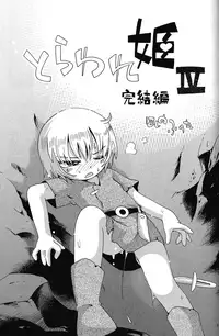 (C82) [Puchi-ya (Hoshino Fuuta)] Toraware Hime IV Kanketsuhen | Captive Princess 4 [English] [Saha]