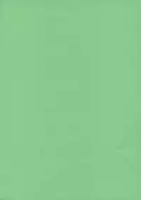 (C69) [Kumagaya Hakushon Kai (Don Shigeru)] Smack Roses (Rumble Roses)