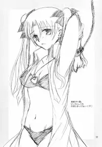 (C66) [Happy Water (Kizaki Yuuri)] Restraint. (Fate/stay night) [Chinese] [wl00314824個人漢化]