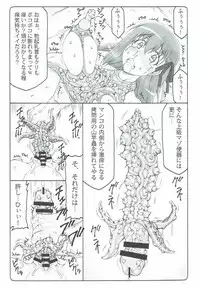 (C92) [Abarenbow Tengu (Izumi Yuujiro)] Japunika Inchuuchou (Fate/stay night)