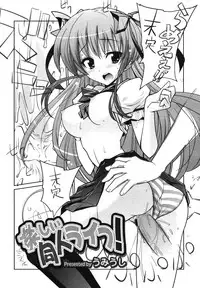 COMIC Megamilk 2010-11 Vol. 05