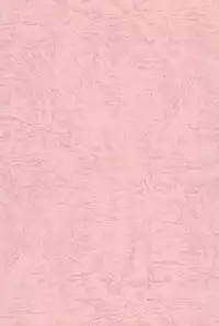 (C54) [Kinman Shouji (Various)] GUNK Kaiteiban (Fun Fun Pharmacy)