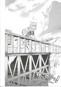 (C76) [Robina go round (Robina)] Nekomori! (Final Fantasy XI)