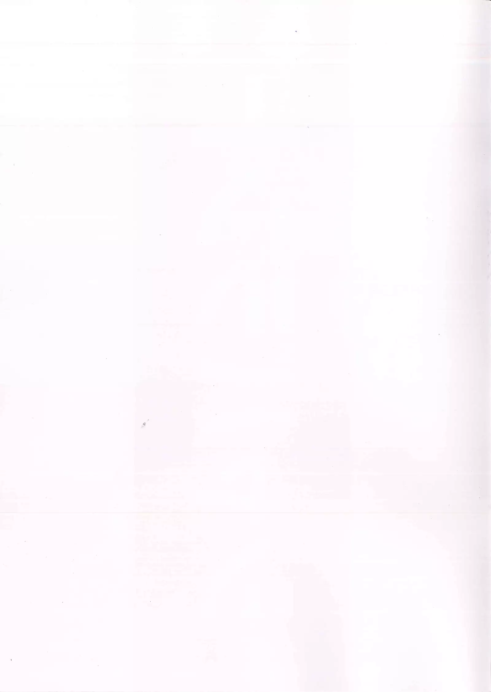 Fairy Chinpo Lecture