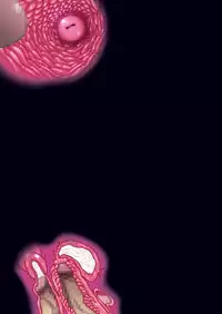 [Studio Mizuyokan (Higashitotsuka Raisuta)] Ura Settai Shiho (Girls und Panzer) [Digital]