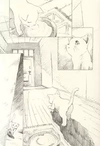 (CR31) [Henrei-kai (Kawarajima Koh)] Hotaru Ame (Bishoujo Senshi Sailor Moon)