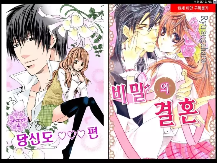 Naisho no Love Mariage | 비밀의 결혼