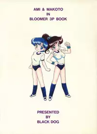 [BLACK DOG (Kuroinu Juu)] SHEER HEART ATTACK! (Bishoujo Senshi Sailor Moon) [Chinese]