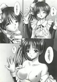 [FINAL EVOLUTION S-RS (ZAN, Chosuke)] VISUAL DESIRE 2 (With You)