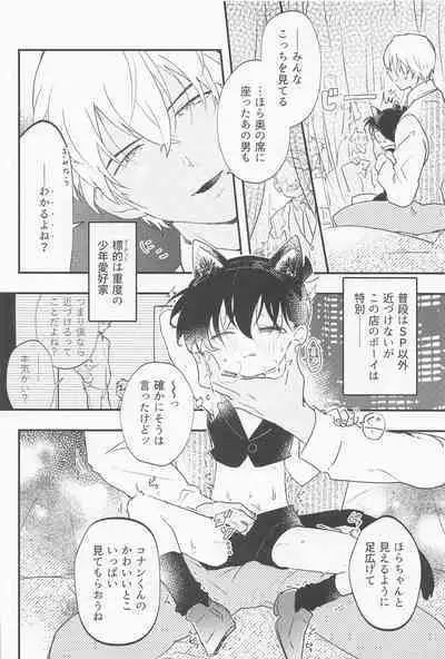 [kankinPACO] Cat night (meitanteikonan)