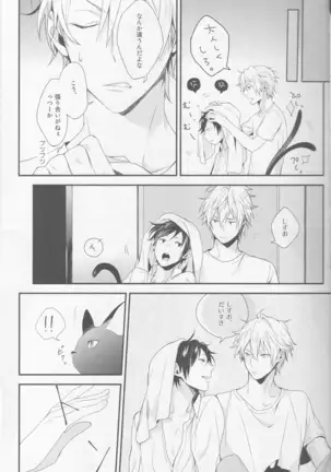 Cat&Chocolate - Durarara doujinshi Japanese