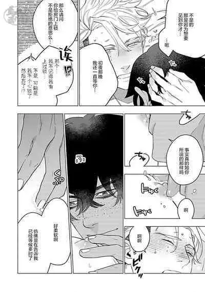 Hoshikuzu no Debutante | 玫瑰香的命定之星