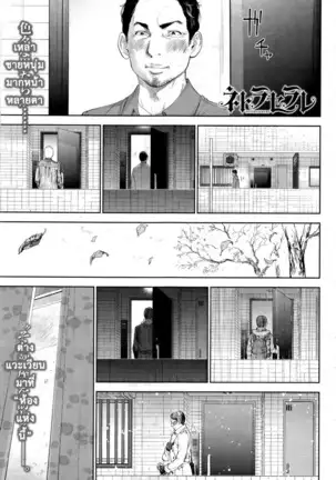 Netoraserare Vol.1-3