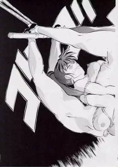 A＆M DS～鬼面の者～