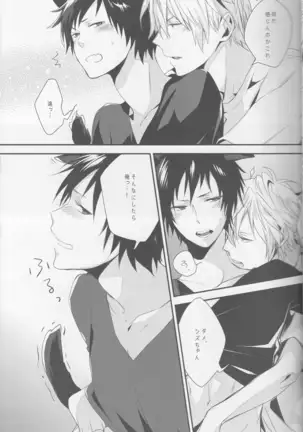 Cat&Chocolate - Durarara doujinshi Japanese