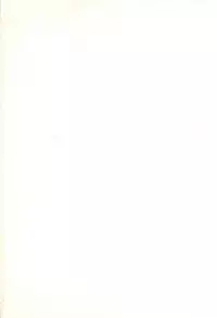 (C35) [Secret Society M (Kitahara Aki)] ANICE - Toki no Hanataba (Sonic Soldier Borgman)