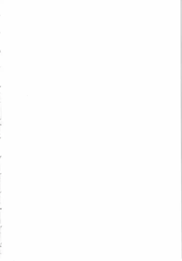 いもうと 泡天国