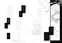 (COMIC1☆3) [FRAC (Mitsuki)] Chronic Vertigo (Touhou Project)