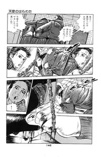 [Takashi Ishii] Tenshi no Harawata Vol. 02