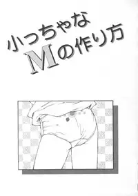 [Fuusen Club] Naisho no Ehon