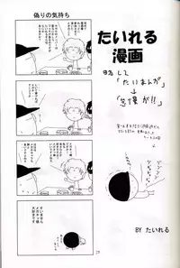 (C67) [Red Ribbon Revenger (Hayama, Makoushi)] Shouhou (Gundam Seed Destiny)