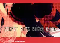 (C80) [cocotto (Mizusawa Mimori)] Secret Knee Socks Book (Various)