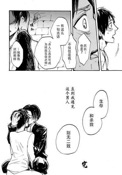 Shonen Knife | 少年的刀