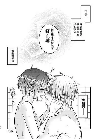 Shall I Phagocytize You Tonight?