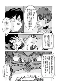 [Light Rate Port Pink] Tanjou!! Aku no Onna Senshi - Videl Sennou Kaizou Keikaku (Dragon Ball Z)