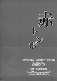 (C79) [Nac (Tf)] Akatonbo (7th Dragon)