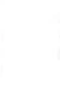 [Amamiya Jun] Koi wa Miracle! v04