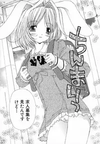 [Kojiki Ohji] Anemone