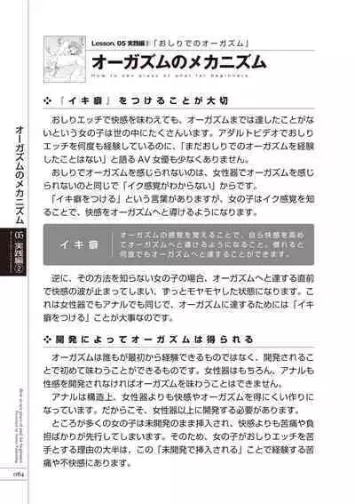 いますぐデキる 図説おしりエッチマニュアル